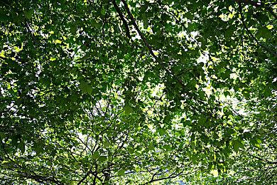 《使命召唤：黑色行动6》多人模式测试现已全面开放