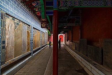 CDPR对Xbox被裁员工表示同情：来我这参与《巫师4》开发工作