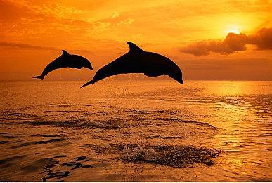 动作RPG《迷失之刃》TGS 2022预告片 2023年发售